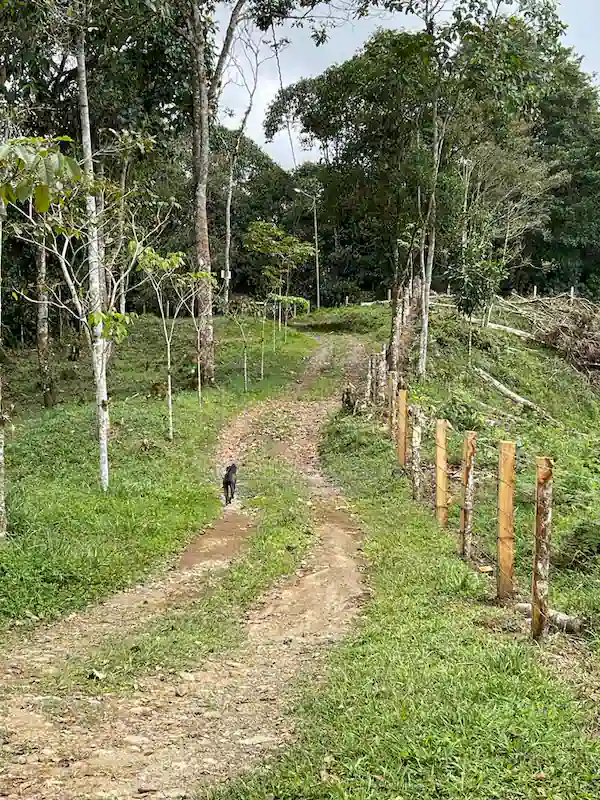 Finca Alto Gaviota